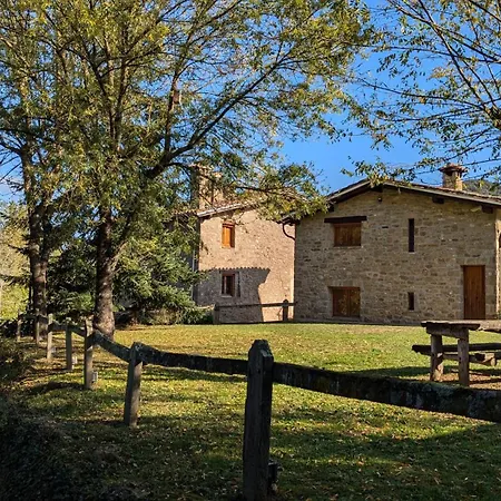 Mas El Carrer Santa Pau